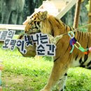 서울대공원 이미지