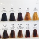 엘샤론코리아 이미지