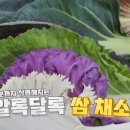 범석농장 이미지