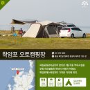 충남 캠핑장 10곳.... " 한여름밤 낭만 캠핑" 이미지