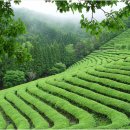 역앞 버스정류장(하행) 이미지