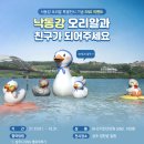 낙동강오리알 이미지