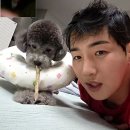 한영의원 이미지