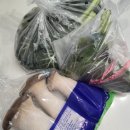 대구 유천동 과일채소 가게 백두상회🍅, 현지인만 아는 찐맛집 아니고 찐채소집!🥦