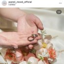 스냅파스텔 이미지
