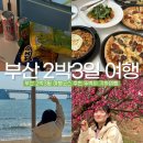 부산여행 2박3일 일정 뚜벅이 코스 내돈내산 맛집 힐링스팟 추천