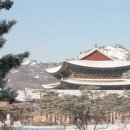 H9043 Daum카페
