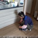 당교로 이미지