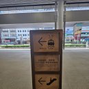 마카오PC(인-485호) | 홍콩에서 마카오 무료 페리 예약과 코타이젯 탑승하는 위치_일일 할당량이 초과되었습니다 문구가 뜬다면