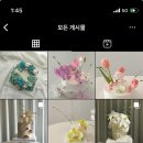 데이쥬르 이미지