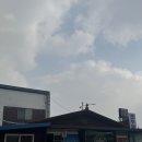 전주회관 | 📍 고창 전주회관 솔직 후기 참게정식