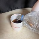 집에서 즐기는 카페 맛집, 카페그린트리 매실 아이스티 베이스 하나로 홈카페 끝판왕 등극!🌿