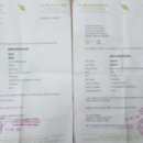 세종번역출입국행정사사무소 이미지