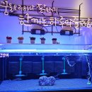 대명동 카페거리 쉐 | 대구 대명동찜닭 맛집 앞산닭한끼 | 분위기 남다른 미니 아쿠아리움 + 찜닭 맛집!