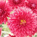 음악세계 이미지