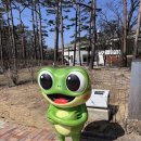 구암저수지 우측 중간 | 🌸 광교저수지 산책코스 + 연무시장 맛집까지 (봄 데이트 코스로 찐 추천)