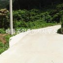 심리 해안가 이미지