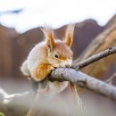 얼룩말식당(평촌점) 이미지