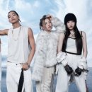 올데이 프로젝트 카카오 검색결과