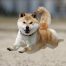 16 이미지