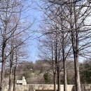 꽃밥이야기 | 용인 호암미술관카페, 호암카페 가격,영업시간,웨이팅 솔직후기
