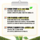 크린환경21
