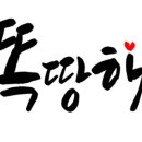 댄스스포츠초급 이미지