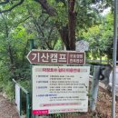 파주기산캠프 | 조용하고 깨끗한 파주 캠핑장 기산 캠프 1박 후기 – 강아지와 함께한 여름 캠핑