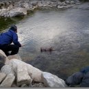 송하농장 이미지