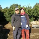 선달농장 이미지