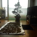 도토리묵 만들려고 이미지