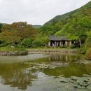 진도 운림산방 네이버블로그