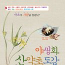 야생화 산약초도감 (양장본) 이미지