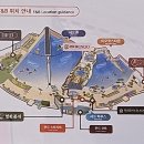 초이러스 이미지