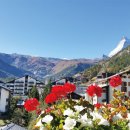 마음의 고향 이미지