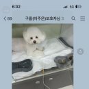 남악동물병원 이미지