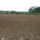 성산읍사무소 이미지