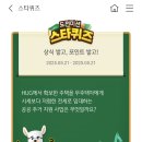 스타21 이미지