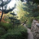 덕산온천관광단지 이미지