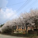 서후보건진료소 이미지