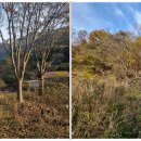 계척체육공원 이미지