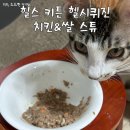 좋은 새끼고양이 영양듬뿍 습식사료 추천, 힐스 헬시 퀴진 치킨&amp;쌀 스튜 주식캔 힐스 공식몰 구매 후기