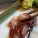 푸른참치 이미지