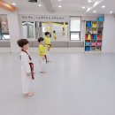 솔빛태권스쿨 이미지