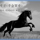 천금매골(千金買骨) 이미지