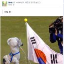 합성베이스볼