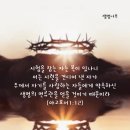 성실한사람들 이미지