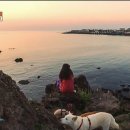 봄날처럼 민박 이미지