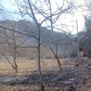 청태농장 이미지