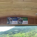 은성식당 이미지